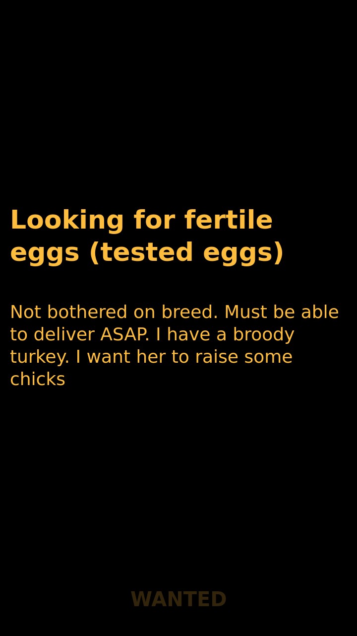 Looking for fertile eggs (tested eggs)