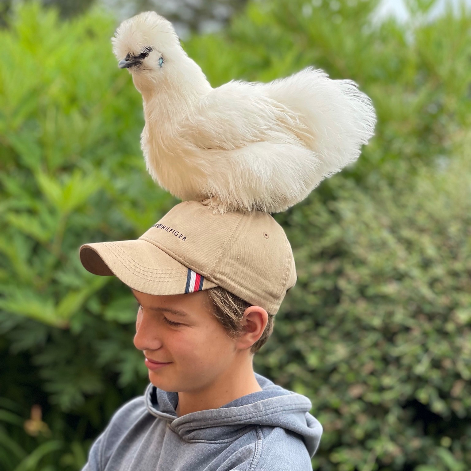 The Find My Poultry Story: Flocks, Markets and a Pandemic Pivot -Episode 3