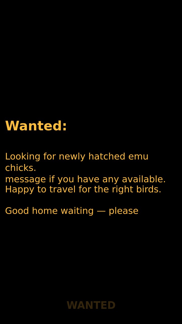 Wanted: Emu or Rhea chicks
