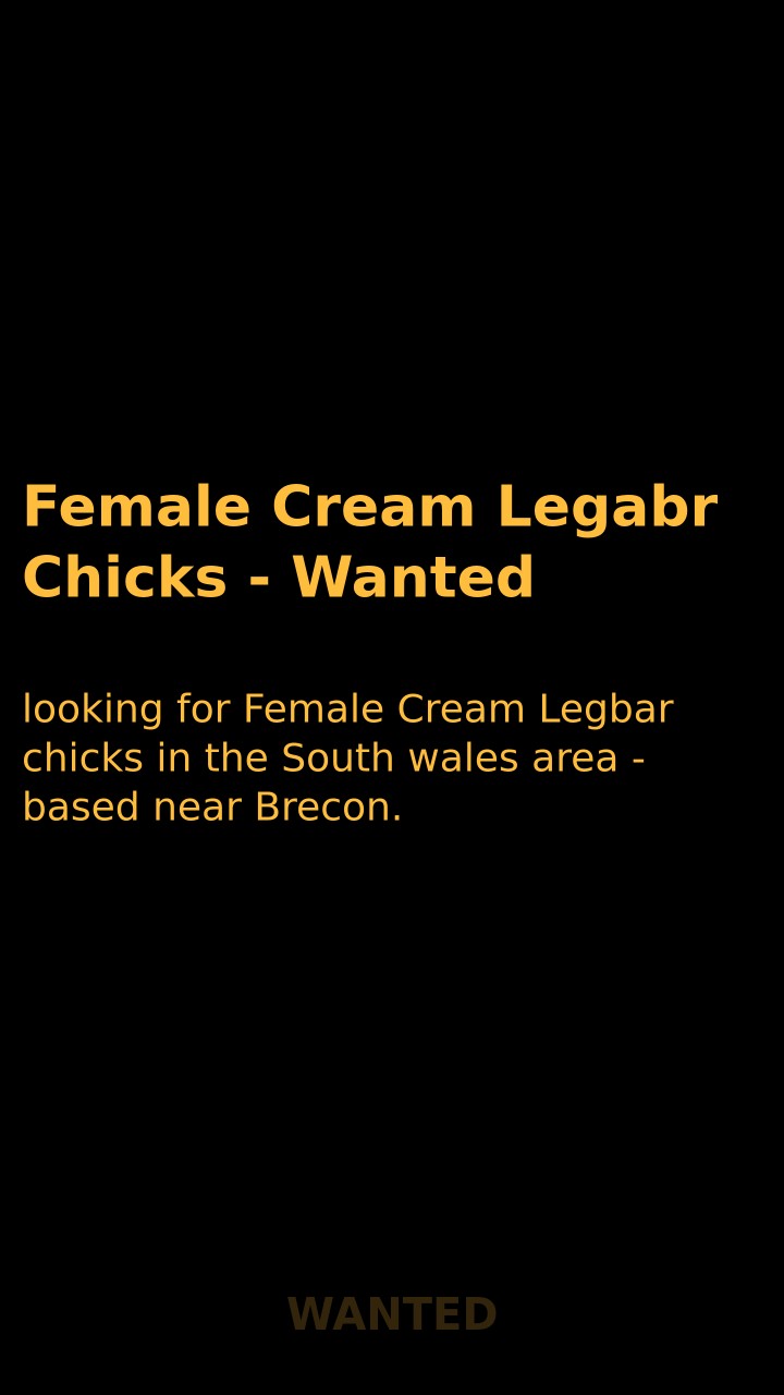 Female Cream Legabr Chicks - Wanted