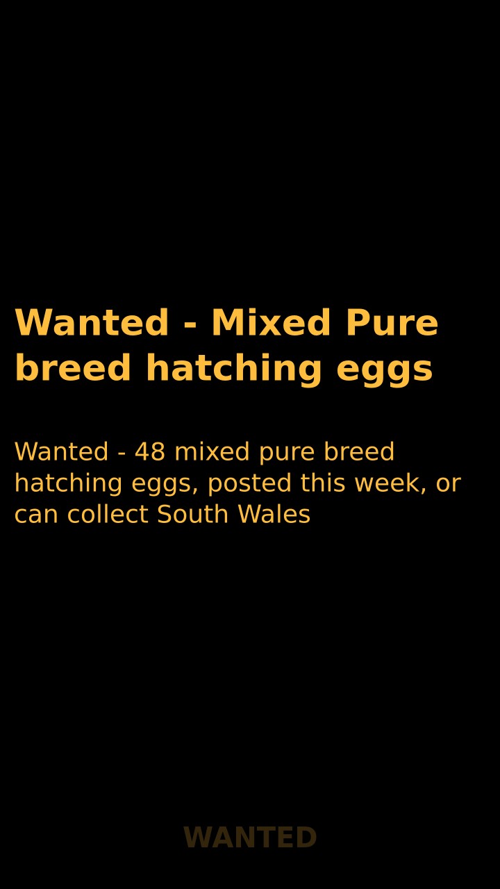 Wanted - Mixed Pure breed hatching eggs