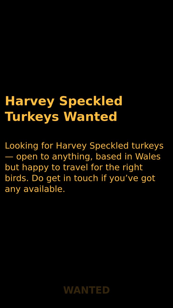 Harvey Speckled Turkeys Wanted