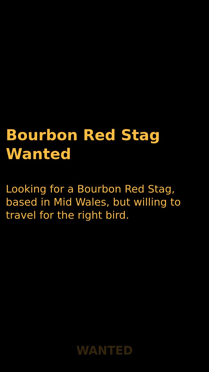 Bourbon Red Stag Wanted