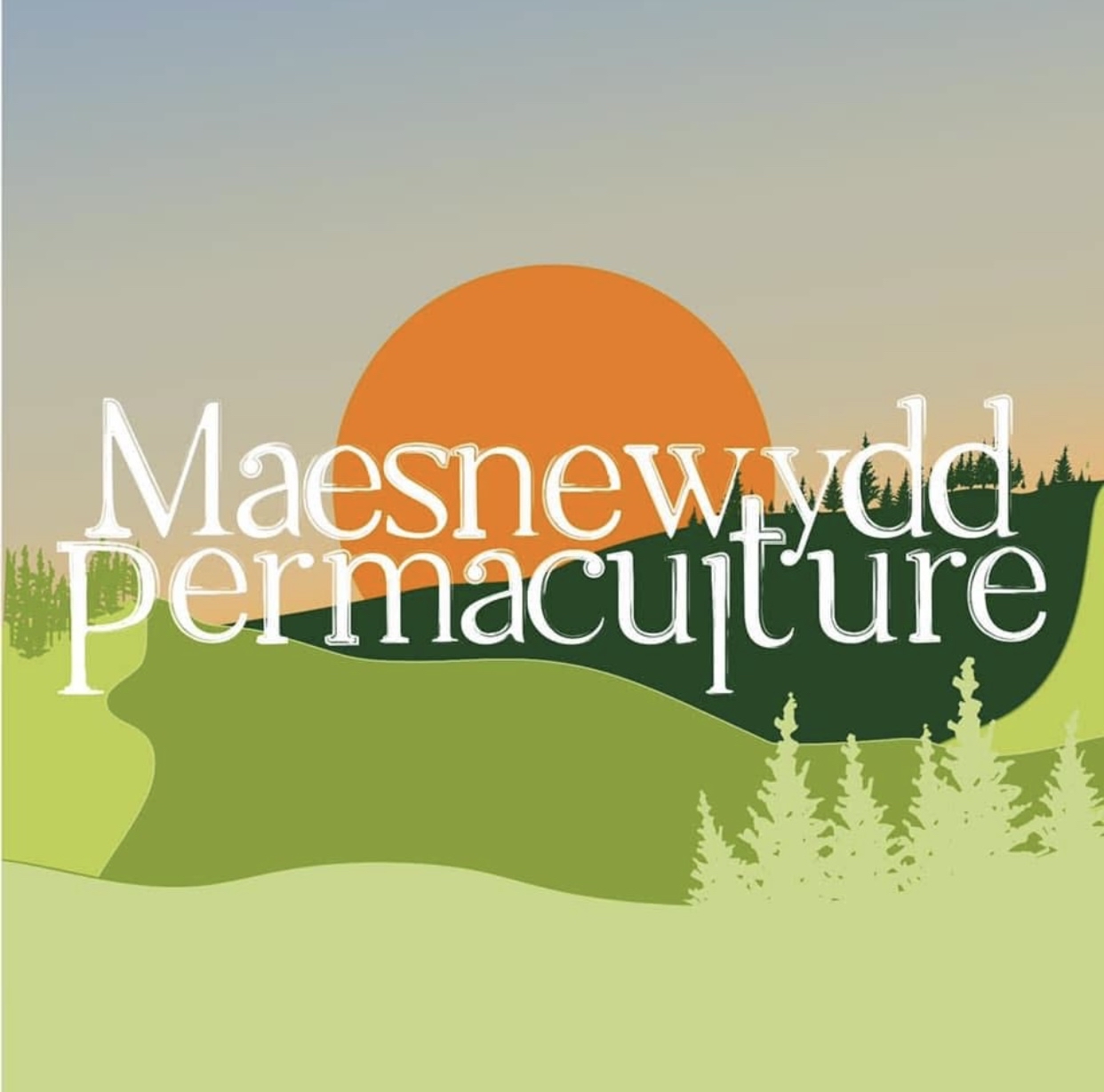 Maesnewydd Poultry